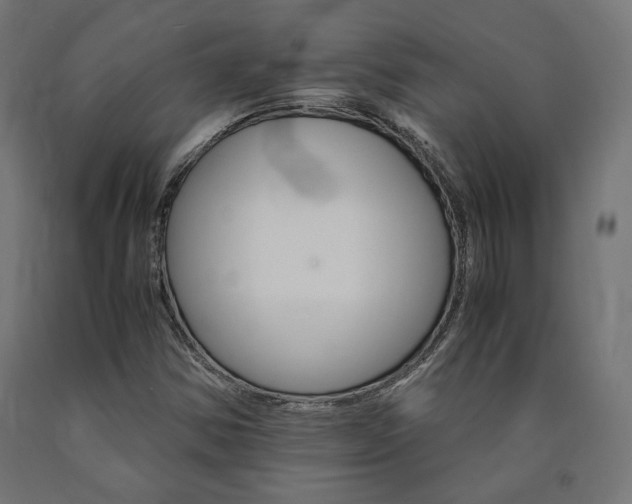 X0000091011354200708021357