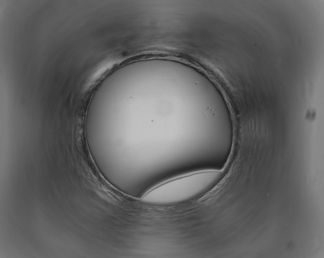 X0000091011355200708021357