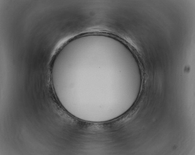 X0000091011358200708021357