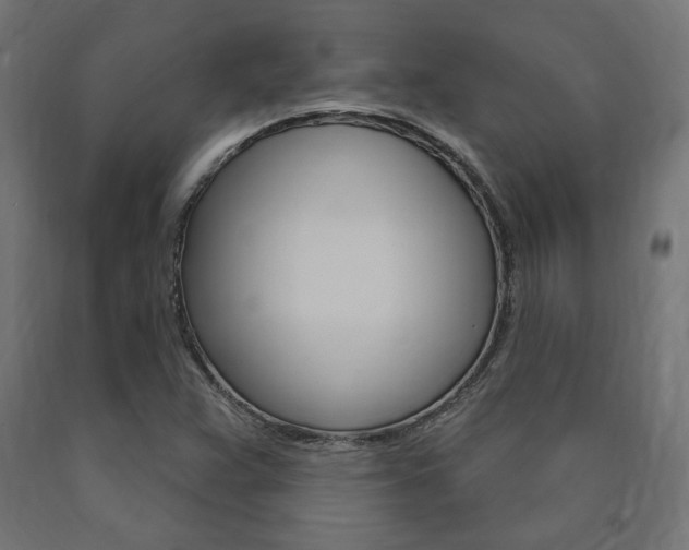 X0000091011359200708021357