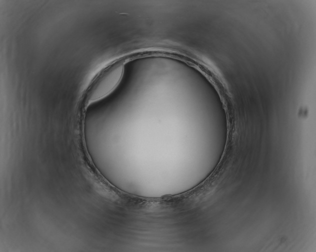 X0000091011360200708021357