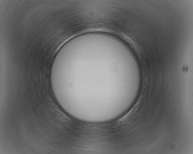 X0000091011361200708021357