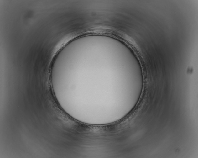 X0000091011362200708021357