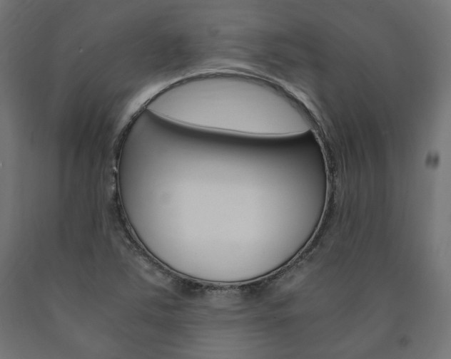 X0000091011363200708021357