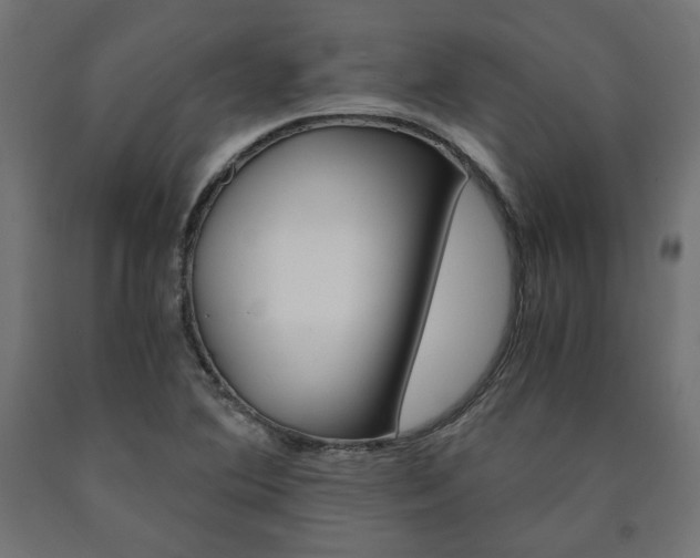 X0000091011364200708021357