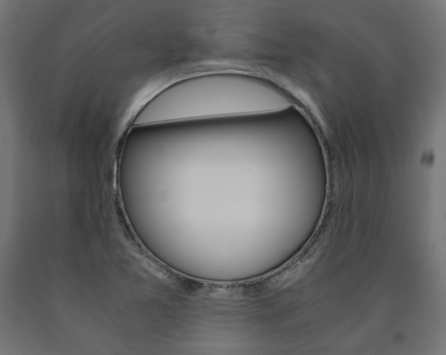 X0000091011365200708021357