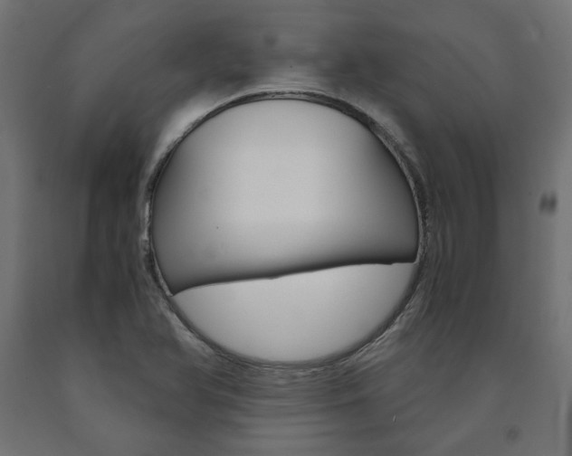 X0000091011366200708021357