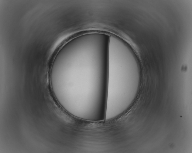 X0000091011368200708021357
