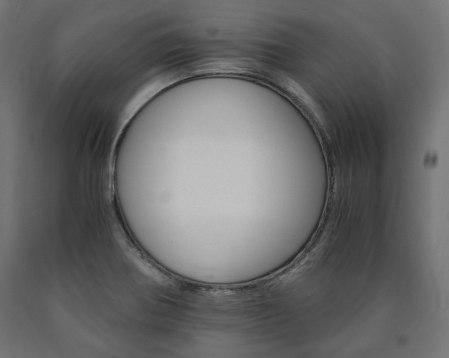 X0000091011370200708021357