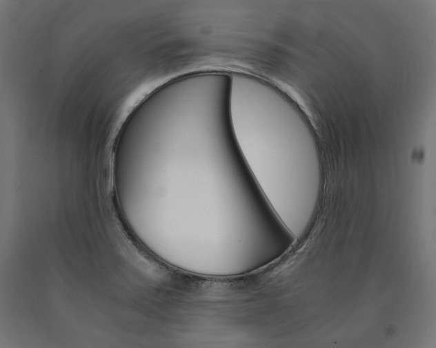 X0000091011371200708021357