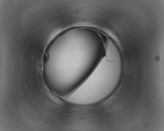 X0000091011372200708021357