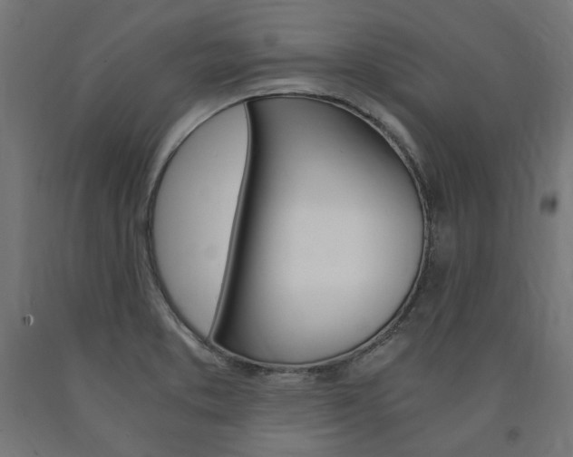 X0000091011373200708021357