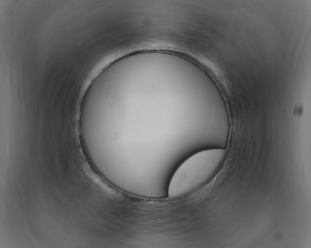 X0000091011374200708021357