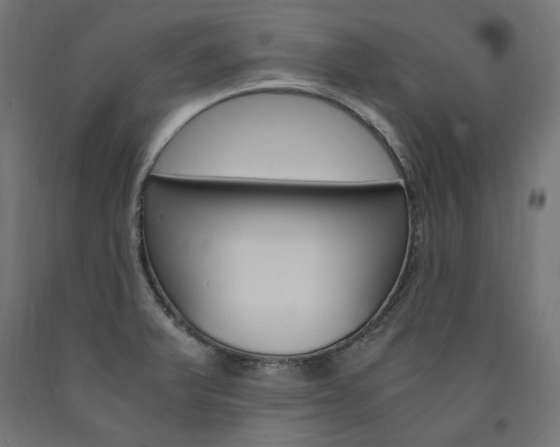 X0000091011375200708021357