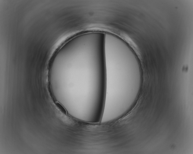 X0000091011376200708021357