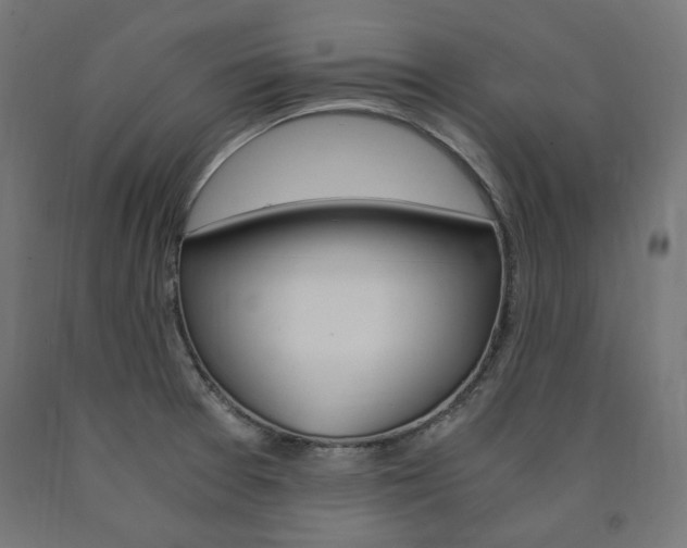 X0000091011377200708021357