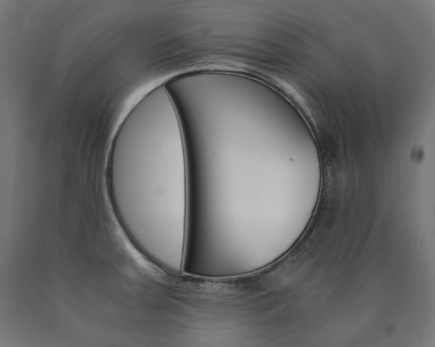 X0000091011379200708021357