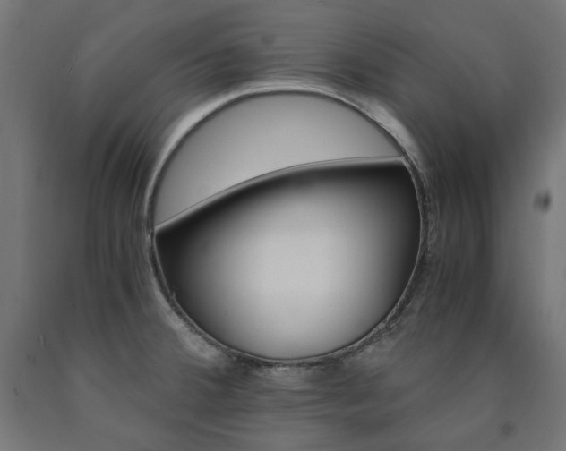 X0000091011380200708021357