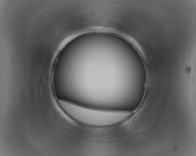X0000091011381200708021357