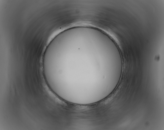 X0000091011382200708021357