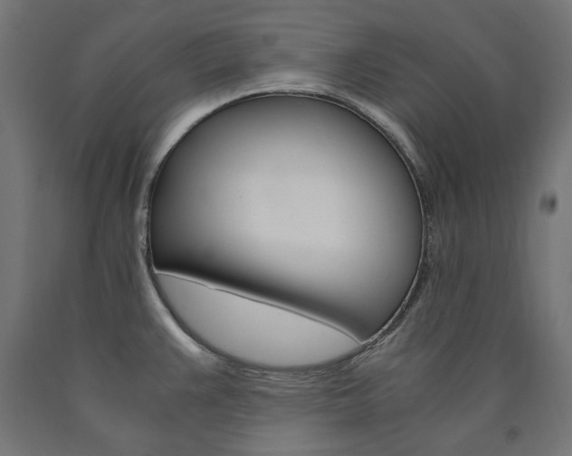X0000091011383200708021357