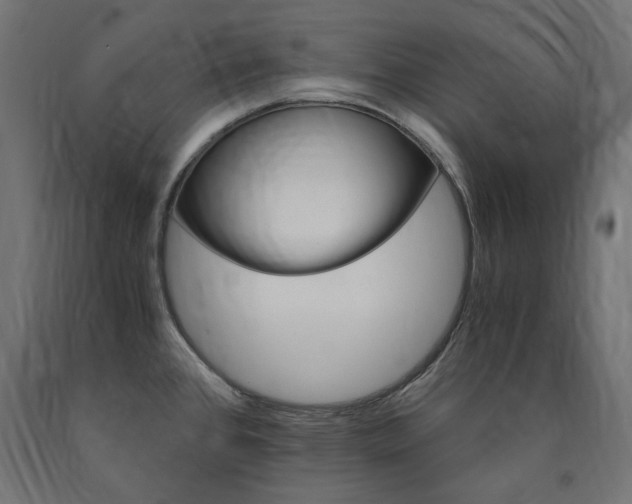 X0000091011384200708021357