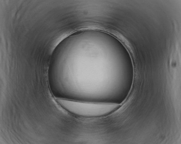 X0000091011385200708021357