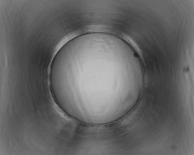 X0000091011386200708021357