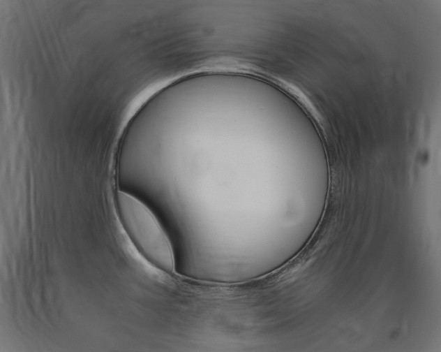 X0000091011387200708021357
