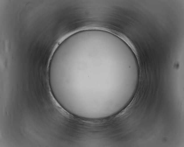 X0000091011388200708021357