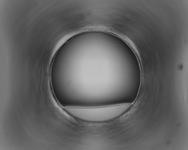 X0000091011389200708021357