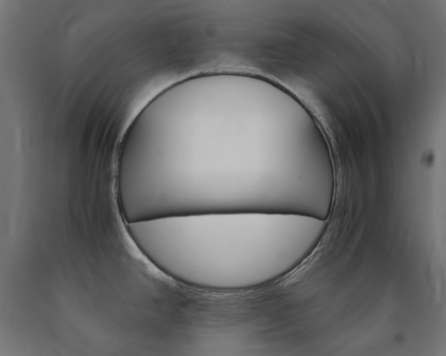 X0000091011390200708021357