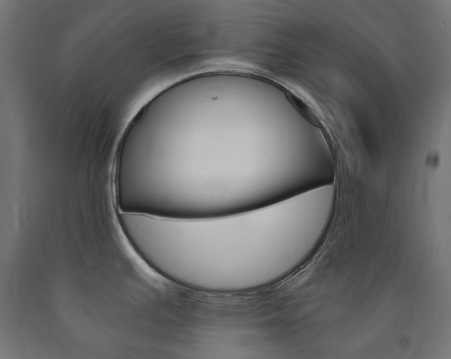 X0000091011391200708021357