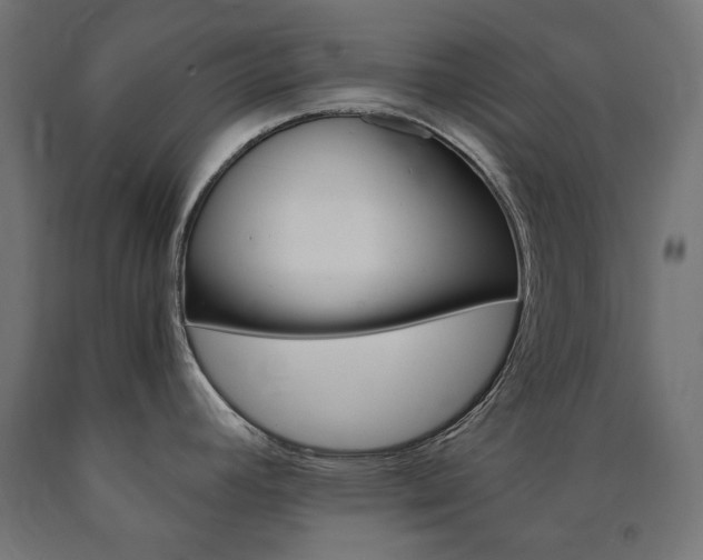 X0000091011392200708021357