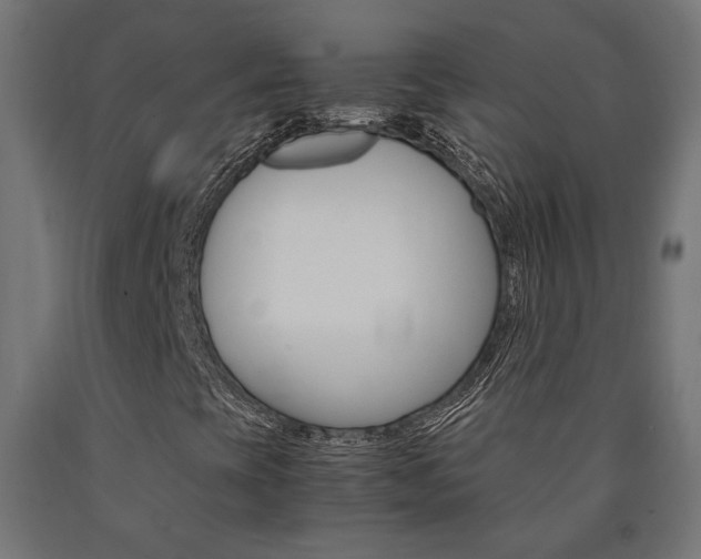 X0000091011393200708021356