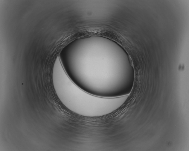 X0000091011394200708021356