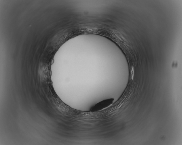 X0000091011395200708021356