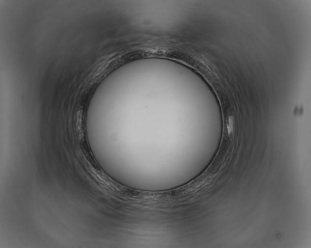 X0000091011396200708021356