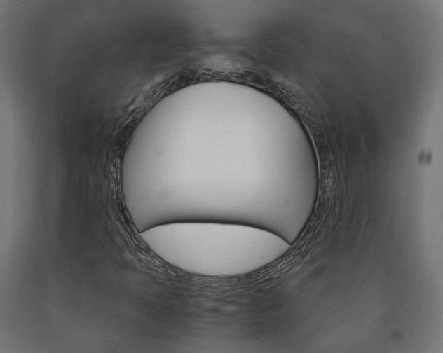 X0000091011397200708021356