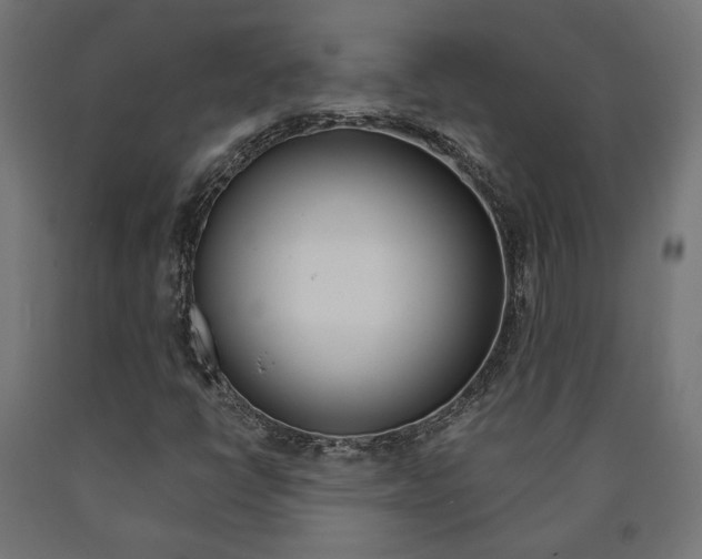 X0000091011398200708021356