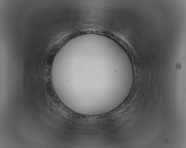 X0000091011399200708021356