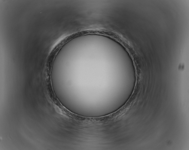 X0000091011400200708021356