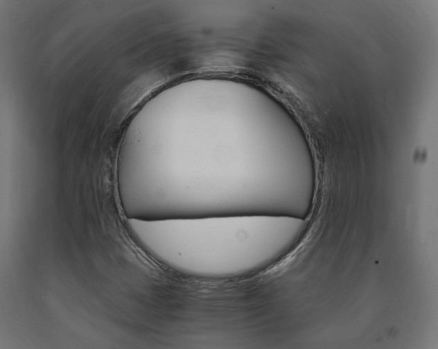 X0000091011401200708021356
