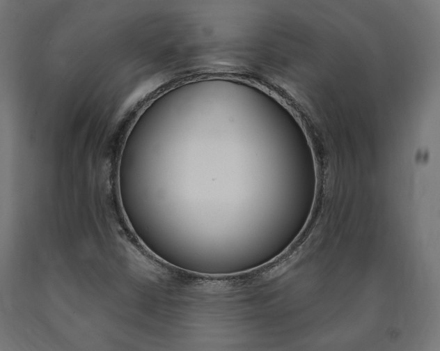 X0000091011402200708021356