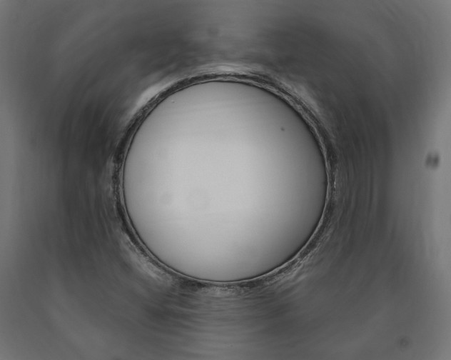 X0000091011404200708021356