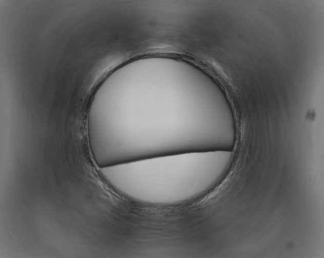 X0000091011405200708021356
