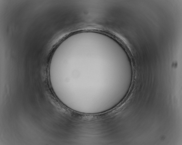 X0000091011407200708021356