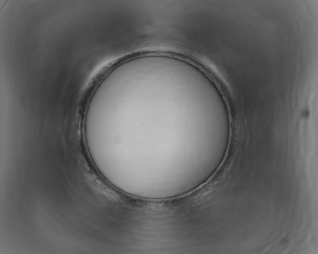 X0000091011408200708021356