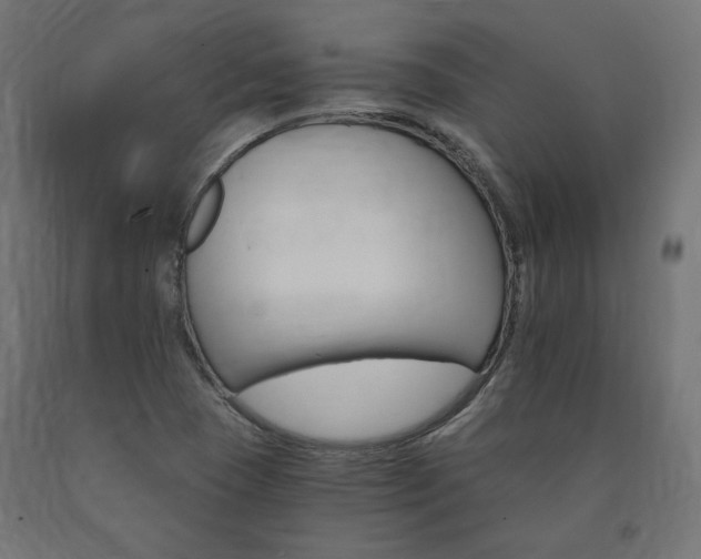 X0000091011409200708021356