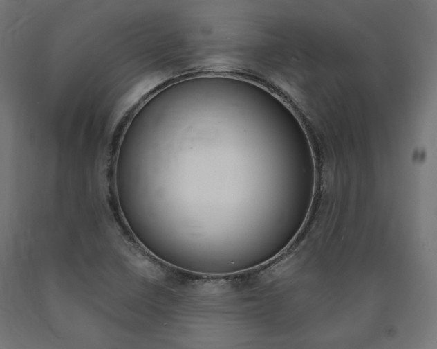 X0000091011410200708021356